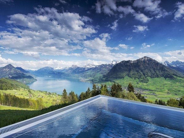 Hotel Villa Honegg 5* Швейцария