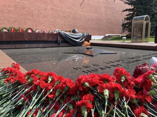 Возложение цветов к могиле неизвестного солдата в Москве