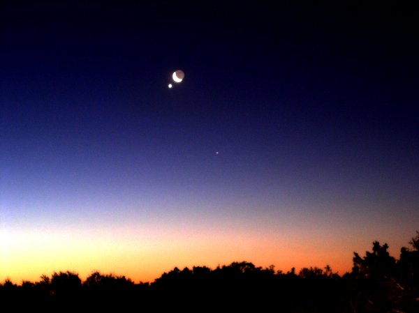 Венера ночью на небе