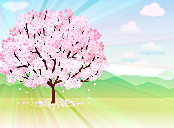 Весеннее дерево на белом фоне
