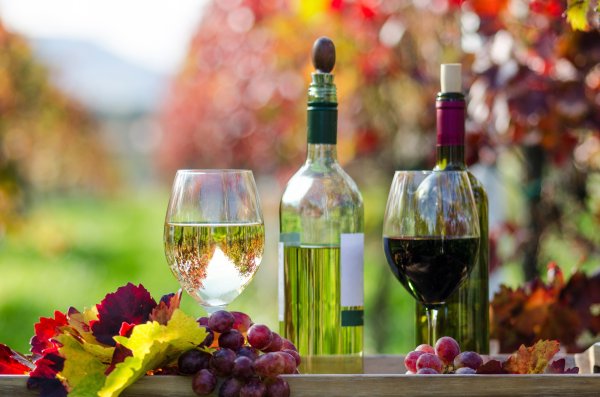 Виноградные вина