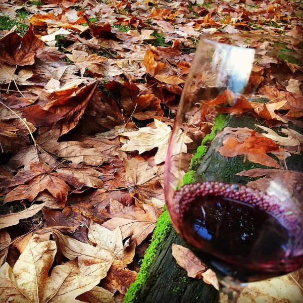 Вино на фоне осени