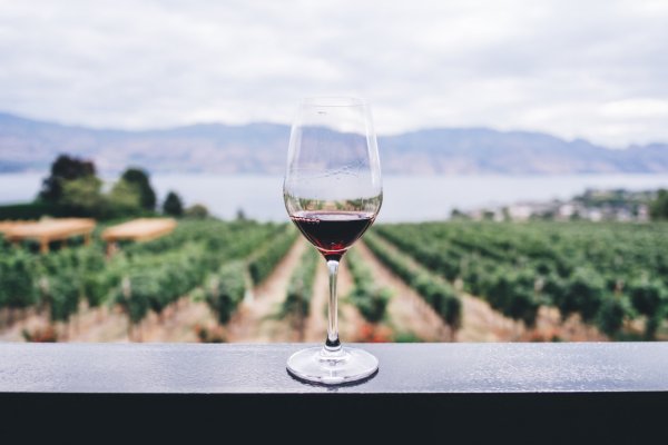 Вино на фоне природы