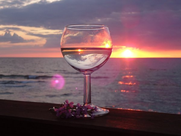 Вино на фоне заката
