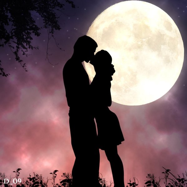 Влюбленная пара на фоне луны