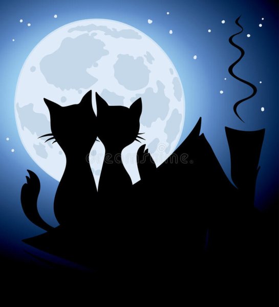 Влюбленные кошки на фоне луны