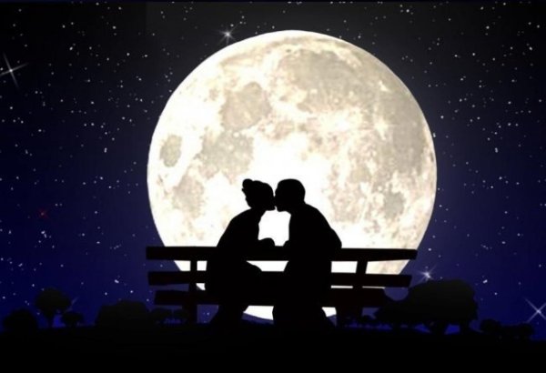Двое влюбленных под луной