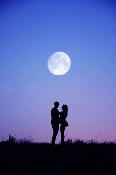 Влюбленные пары под луной