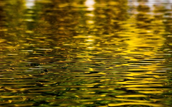 Вода на золотом фоне
