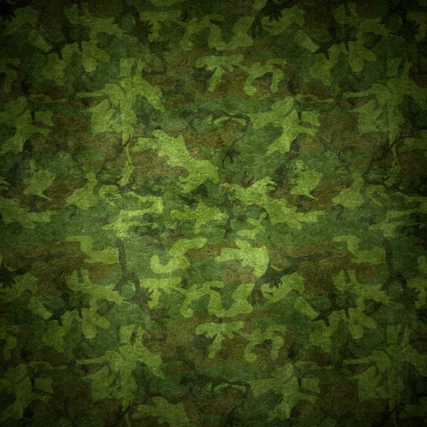 M90 (Camouflage)