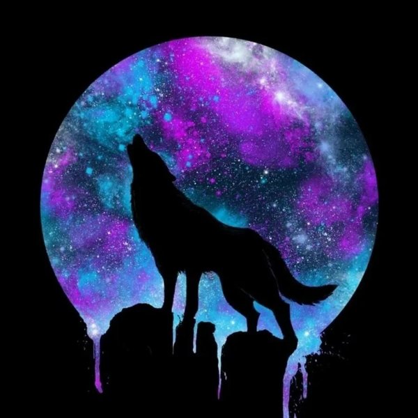 Силуэт волка на фоне космоса