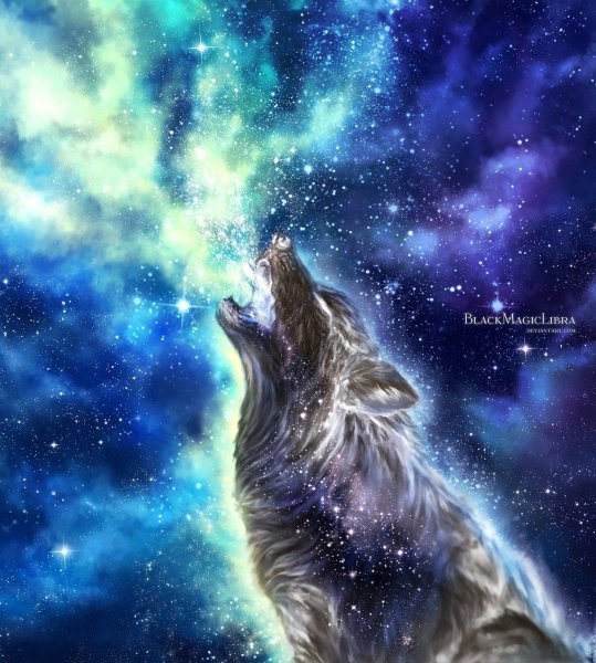 Звездный волк