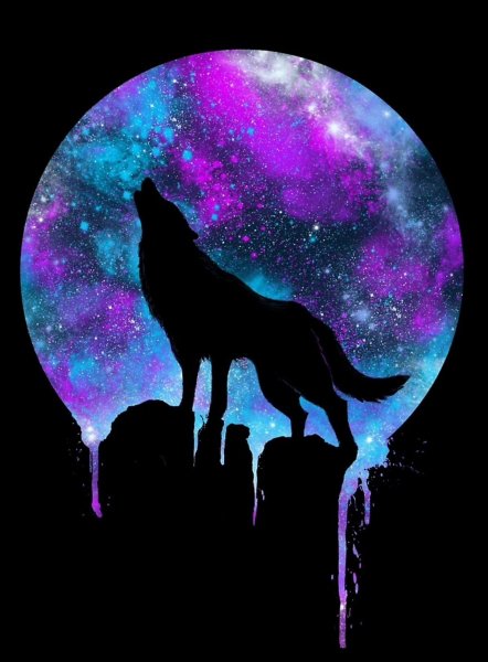 Волк на фоне космоса