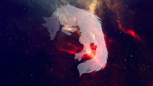 Волк на фоне космоса арт