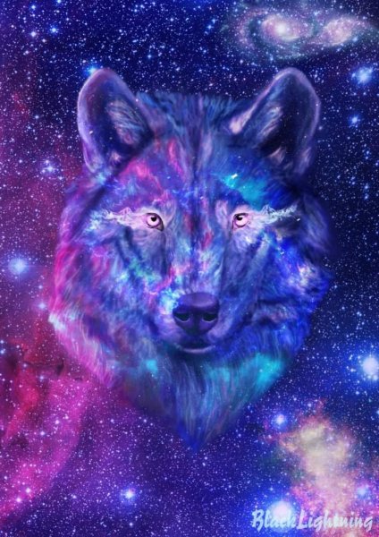 Волки красивые разноцветные