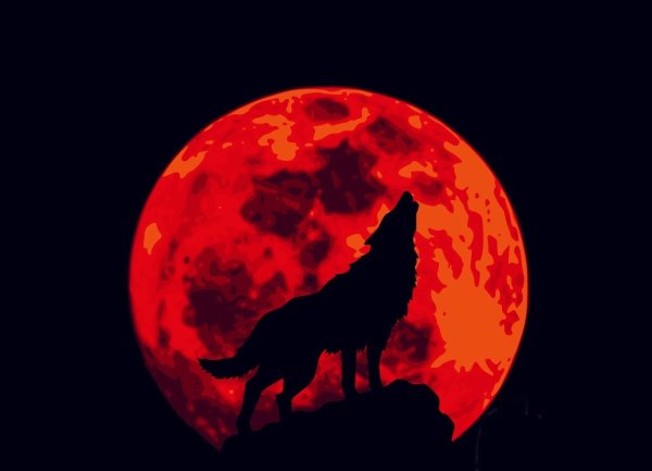 Волк на фоне кровавой луны