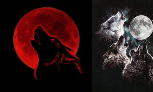 Кровавая Луна с волками арт