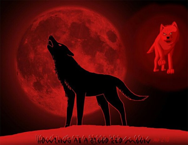 Черно красный волк