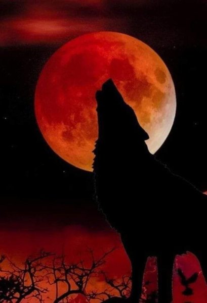 Кровавая Луна волк
