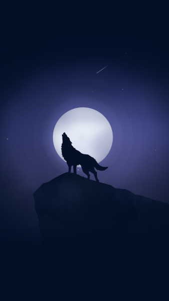 Волк на фоне луны флаг