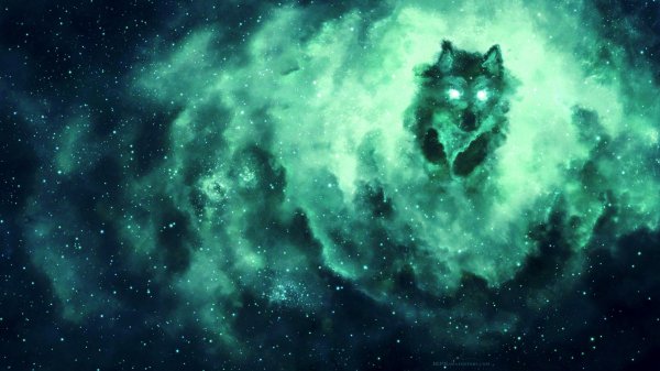 Волки на фоне космоса