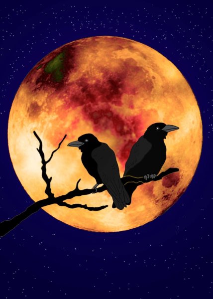 Луна и птицы