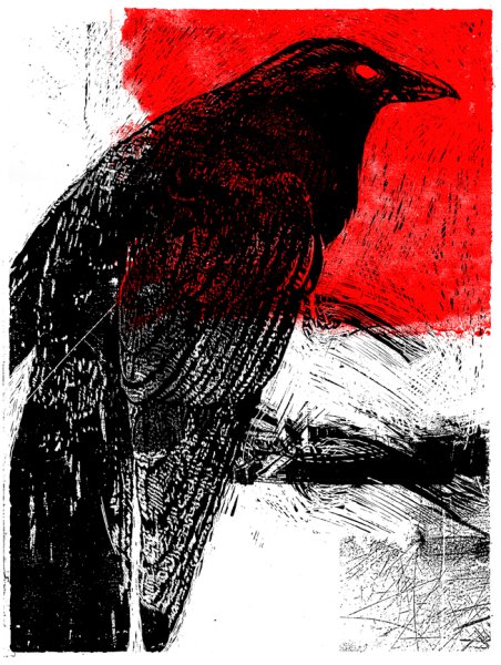 Черно красная ворона