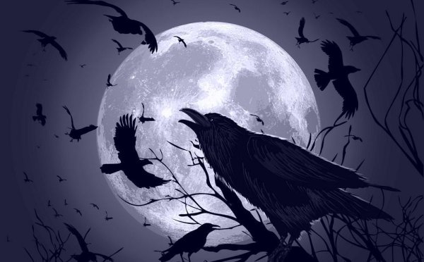 Ворона на фоне Луны