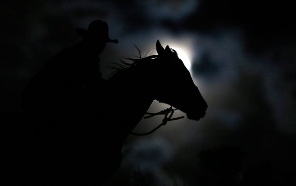 Всадник на коне ночью
