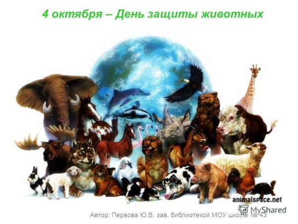 Международный день животных