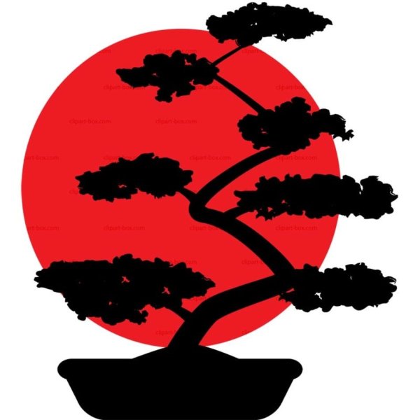 Японское дерево на белом фоне