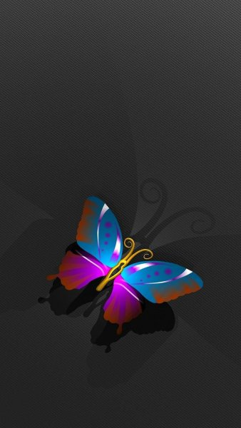 Яркие бабочки на темном фоне