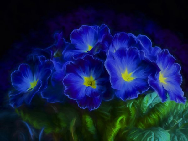 Синие цветы первоцветы