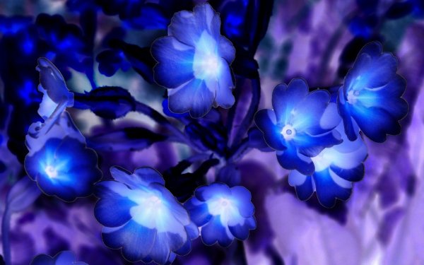 Синие цветочки