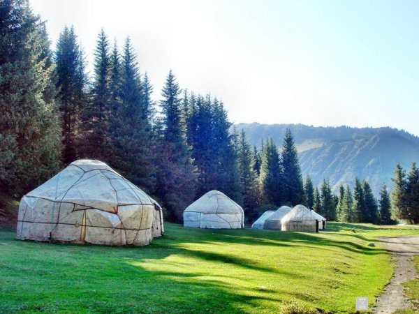 Природа Кыргызстана боз уй