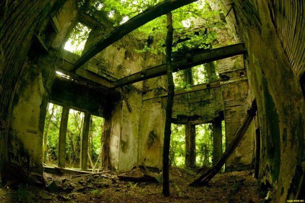 Заброшенные строения в лесу