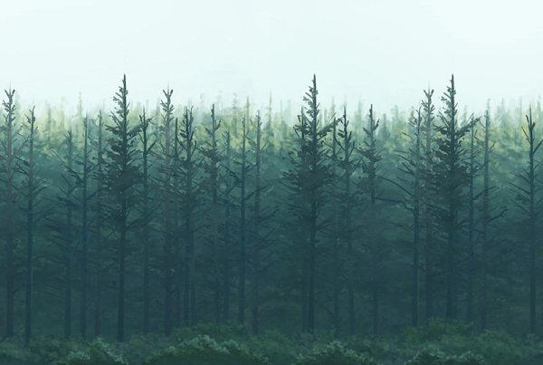 Густой лес на горизонте