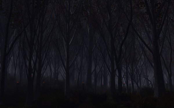 Тёмный лес фон для гача лайф