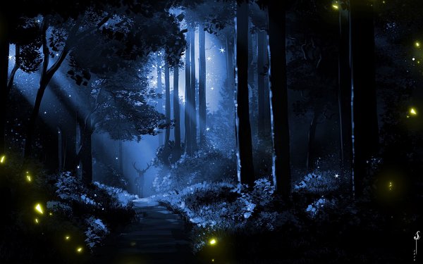 Сказочный лес ночью