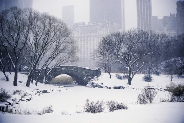 Мост Нью Йорк Центральный парк зима