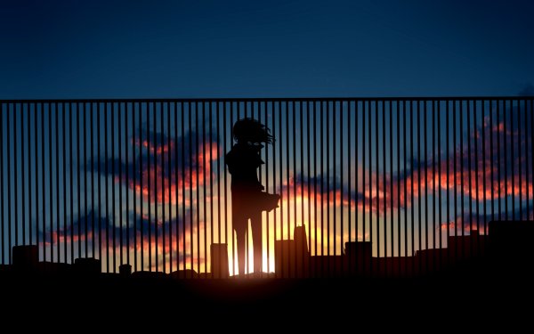 Забор закат