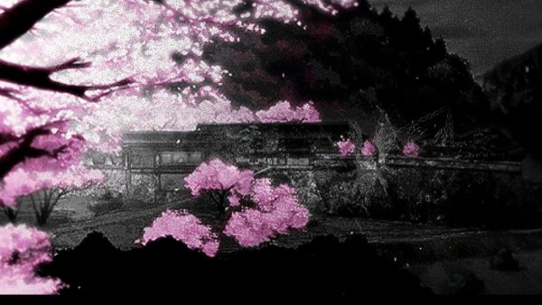 Цветение Сакуры в Японии аниме