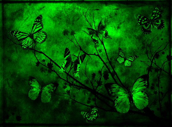 Зеленая бабочка арт