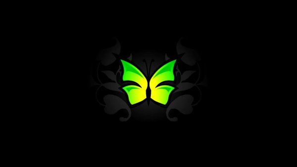 Зеленая салатовая бабочка на черном фоне