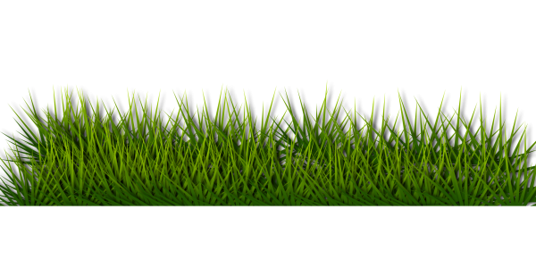 Зеленая трава полоса
