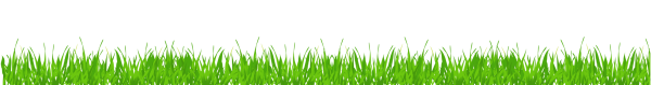 Зеленая трава на белом фоне