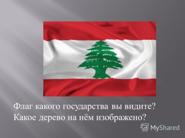 Флаг страны с деревом