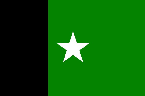 Чёрно-зелёный флаг