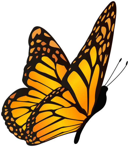 Красивые бабочки на прозрачном фоне