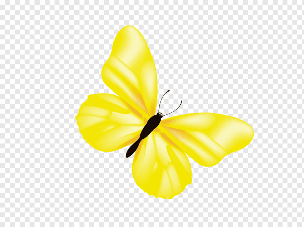 Бабочка желтая для детей